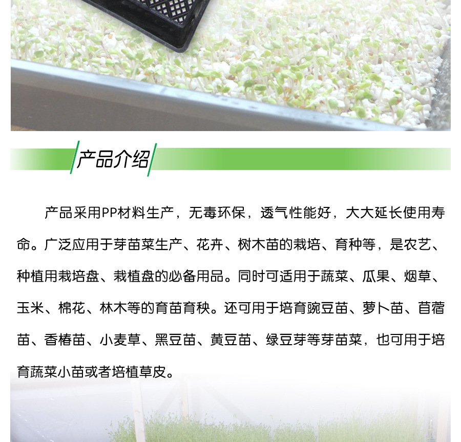 【5公分育苗长方盘 育苗容器 育苗托盘 芽菜盘】价格,厂家,图片,其他橡胶制品,昆明雷马经贸-