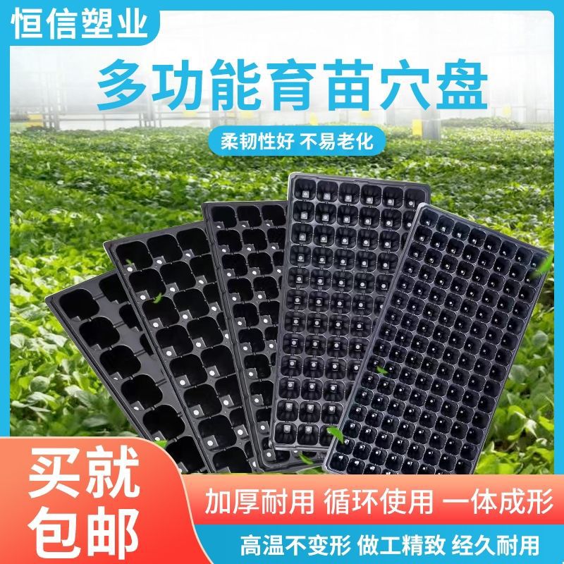 育苗盘穴盘林木加厚加深辣椒蔬菜玉米草莓苗盘育种器托盘扦插批发